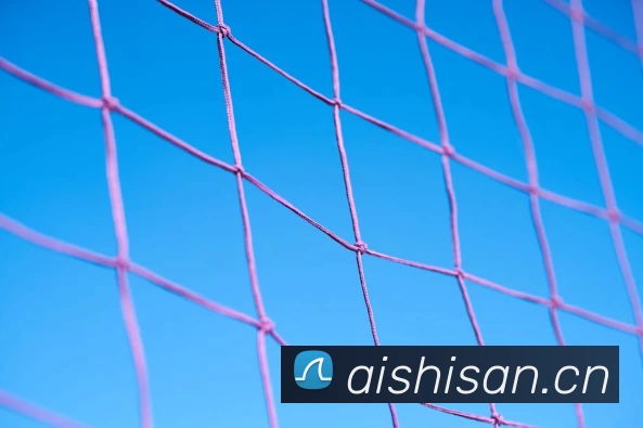 Emc(易倍中国)官方网站 - 创新引领体育科技脚步发展历程